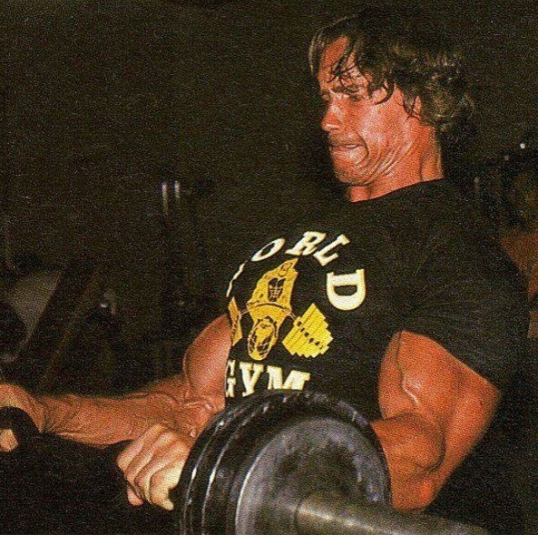 Raw Honey for Hair: The Ancient Conditioning Secret That Builds Strength and Shine